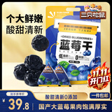 三只松鼠每日蓝莓干500g 蜜饯果干酸甜休闲零食下午茶孕妇儿童健康零食