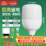 佛山照明大功率LED灯泡30W节能灯具E27螺口6500K白光柱形