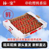 京鲜生&柿一家 山东精品串收红宝石樱桃番茄礼盒3斤 新鲜水果源头直发