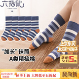 六指鼠秋冬中筒男童袜子儿童厚棉袜中大童小男孩宝宝厚新年马年红色春秋 880B厚棉小熊（加长筒）同色 5双 均码 成人码鞋37-42码)