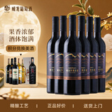 威龙沙漠酒田干红葡萄酒国产红酒750ml*6支整箱中秋送礼礼品