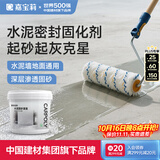 嘉宝莉（CARPOLY）水泥地面固化剂 地固防起灰 混凝土密封固沙剂 界面剂 罩面漆5kg