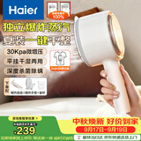 海尔（Haier）手持挂烫机30g爆炸蒸汽160ml水箱家用便携大蒸汽电熨斗小型迷你差旅干湿平挂两用熨衣神器HSS-B08W