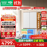 容声大冰象603L双净双系统十字门电冰箱2026新款超薄嵌入式大容量一级能效国家补贴BCD-603Q50CZLBD白