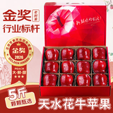 三萌果蔬甘肃花牛苹果【闪送-源头直采】粉面苹果蛇果新鲜水果中秋送礼 5斤精选装【超值推荐-80%选】净4.5斤