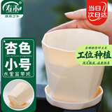 寿禾 花盆塑料加厚树脂园艺花盆绿萝多肉绿植栽种 木里盆小号-杏色