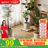 溢彩年华花架阳台置物架落地式花盆架方形植物多肉盆栽移动架子30/5315