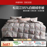水星家纺羽绒被95%白鹅绒被子冬季加厚冬被芯双人羽绒被220cm×240cm1200g