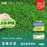 北蔬 高档草坪种子护坡草籽矮生南北方庭院绿化 百草丰茂草坪种子1斤