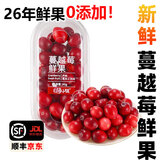 芒司令【顺丰速运】黑龙江抚远新鲜蔓越莓冷冻鲜果女性泡水酸水果莓浆果 【抚远蔓越莓·鲜果】80g*2盒|发顺丰