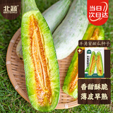 北蔬羊角蜜甜瓜种子苗早熟酥脆香甜瓜水果籽 羊角蜜甜瓜种子约200粒