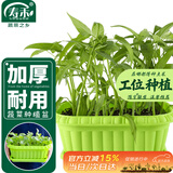 寿禾 种菜盆阳台家庭蔬菜种植方形盆 长形蔬菜种植盆(绿色)组合装2个