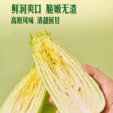 京鲜生云南高原龙芽白菜净重5斤 新鲜采摘只留菜心源头直发