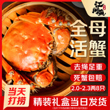 【活蟹】江问鱼 大闸蟹全母2.0两-2.3两 8只装 鲜活螃蟹生鲜礼盒送礼优选去绳足重