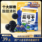 三只松鼠每日蓝莓干500g 蜜饯果干酸甜休闲零食下午茶孕妇儿童健康零食
