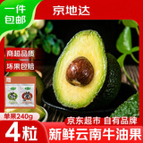 京地达云南牛油果新鲜水果鳄梨单果240g*4粒低卡京东自营生鲜源头直发