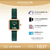 蔻驰（COACH） CASS系列 皮带石英女表 14504227 孔雪儿推荐 礼物/送礼
