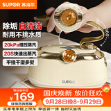 苏泊尔（SUPOR）【优雅复古】手持挂烫机24g/min家用熨烫机110ml水箱蒸汽电熨斗小型便携式EGH-906A团购礼物