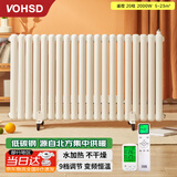 沃华斯顿水暖取暖器水电暖气片家用加水注水暖气片水循环加热电暖器FG-20