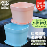 寿禾 花盆含托树脂简约混装组合多肉绿植盆 韦尼恩盆含托4个