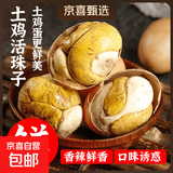 即食13天活珠子五香味香辣钢化蛋鸡胚蛋喜蛋批发原味麻辣新鲜真空 40g*10枚装 香辣