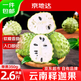 京地达云南牛奶释迦果番荔枝净重2.6斤单果350g老树佛头果 源头直发包邮