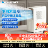 蓝宝（BLAUPUNKT）【厨房降温】冰雾扇电风扇家用空调扇加湿水冷风扇冷风机小空调扇无需冰晶 节能低噪可拆洗 X5