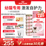 皇家猫粮 离乳期幼猫粮干湿套装BK34 2KG+幼猫湿粮罐头BMC 88g*6