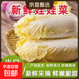 【超市品质】新鲜精品娃娃菜现砍现发小包装新鲜蔬菜生鲜产地直发 新鲜娃娃菜1*(3棵)*5包