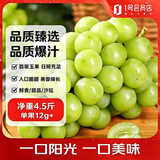 趣尝鲜四川阳光玫瑰青提 净重4.5斤 单枚12g+ 新鲜葡萄提子源头直发包邮