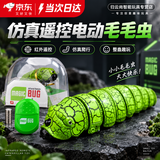 宜品达仿真遥控电动毛毛虫玩具整蛊爬行虫昆虫动物六一儿童节礼物男女孩 电动遥控毛毛虫【青绿色】 +电池6粒