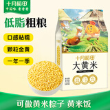 十月稻田 大黄米 2斤 大黄米粽子 黏米 粗粮杂粮米 黄米凉糕 糯米