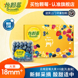 怡颗莓【颗颗饱满】当季云南蓝莓 国产蓝莓 新鲜水果送礼 Jumbo超大125g*6盒（18mm+）