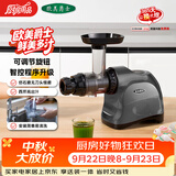 欧美爵士原汁机无刀片低速西芹榨汁机家用渣汁自动分离榨汁机全自动果蔬多功能果汁机慢磨机CNC92AI 深空灰