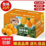 正宗江西赣南早橙产地直发赣州当季皮薄多汁纽荷尔橙礼盒 60-70 带箱10斤装【超值款】
