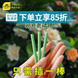 史丹利缓释肥植物营养棒花肥家用盆栽通用型养花复合花卉多肉肥料 【贵在运费】营养缓释棒18支/盒 史丹利荣誉出品