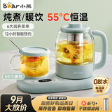 小熊（Bear）养生壶 煮茶壶 煮茶器 养生水壶 电烧水壶 保温全自动 家用办公用玻璃热水壶加热杯垫不锈钢滤网 天蓝色 0.8L 【养生壶套装】YSH-P08G7