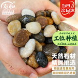 寿禾 鹅卵石鱼缸装饰造景天然石头庭院花盆铺面 0.8-1.5cm鹅卵石5斤