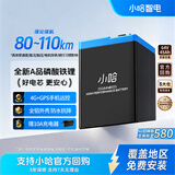 小哈电动车锂电池60V45Ah 电瓶车电池 雅迪爱玛电池 10A充电器套装