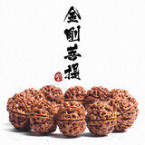 山中玉金刚菩提手串尼泊尔菩提子原籽龙鳞纹盘文玩大五瓣精品新年礼物 五瓣爆肉20-21mm