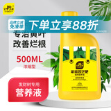史丹利发财树营养液500ml 肥料专用肥防治黄叶枯叶烂根室内盆栽植物通用