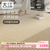 大江进口羊毛地毯客厅现代简约素色轻奢高级感沙发地毯300x400cm