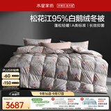 水星家纺羽绒被95%白鹅绒被子冬季加厚冬被芯双人羽绒被220cm×240cm1200g