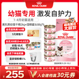 皇家猫粮 离乳期幼猫粮干湿套装BK34 2KG+幼猫湿粮罐头BMC 88g*6
