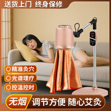 艾点（Ai Dian）艾灸仪器一体机无烟家用理疗仪美容院温灸仪全身用熏蒸仪艾炙烤灯 标准款（七光渗透+蜂窝聚热） M