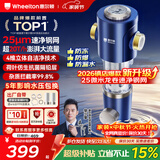 惠尔顿前置过滤器20T大通量过滤25微米反冲洗家用全屋净水器 实时自动清洗刮洗自来水防爆过滤器P0038pro 自行安装【20T-升级25微米精滤】
