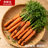 京鲜生山东带泥胡萝卜 净重3斤 单果100g+蔬菜辅食 源头直发 自营包邮