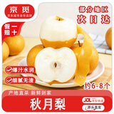 京觅山东烟台莱阳头茬秋月梨 净重4.5斤大果 单果300g+ 源头直发包邮