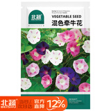 北蔬 牵牛花种子种苗可盆栽爬藤植物花卉种籽 混色牵牛花种子500粒