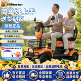 飞鸽四轮老年电动车老人代步车电动车四轮最新款高端景区观光车 【 超威/天能】600W60V20AH铅酸约100里